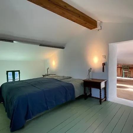 Cozy Catalan