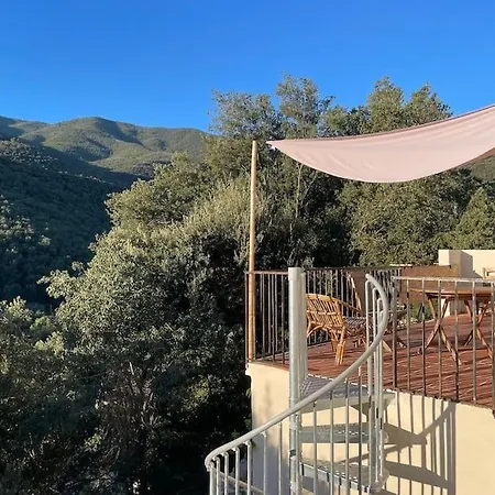 Cozy Catalan * Reynès