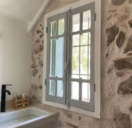 Cozy Catalan