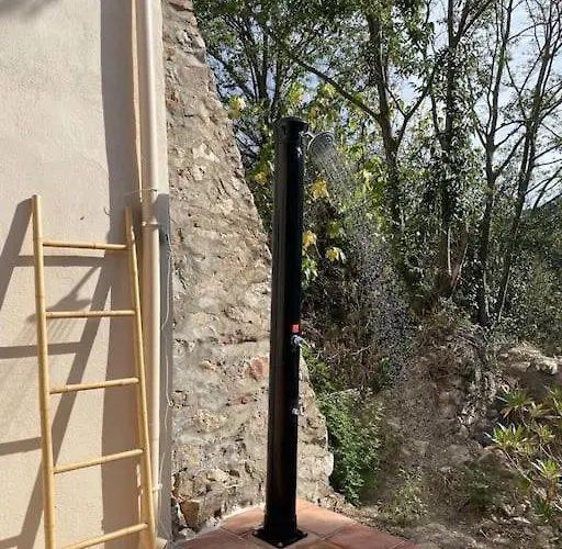 Cozy Catalan Reynès